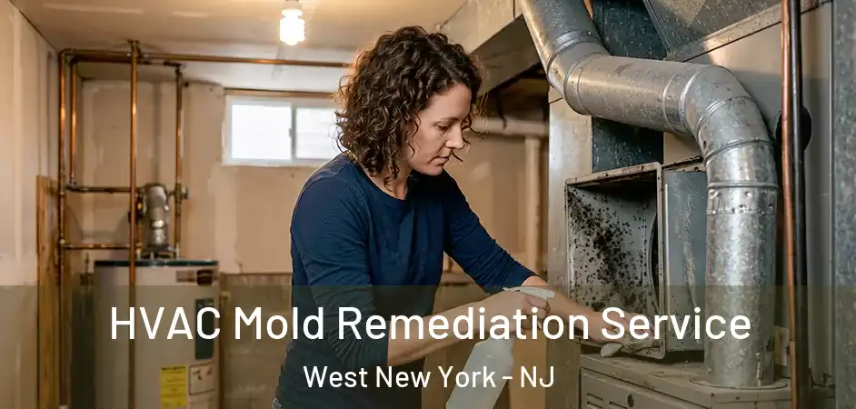 HVAC Mold Remediation Service West New York - NJ